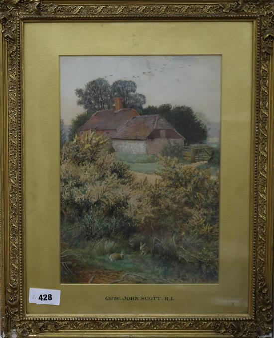 John Scott, watercolour of gorse, signed and dated 1910, 37 x 26cm